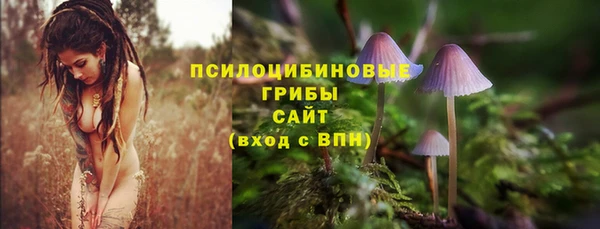 ECSTASY Алексин