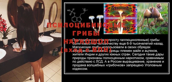 ECSTASY Алексин