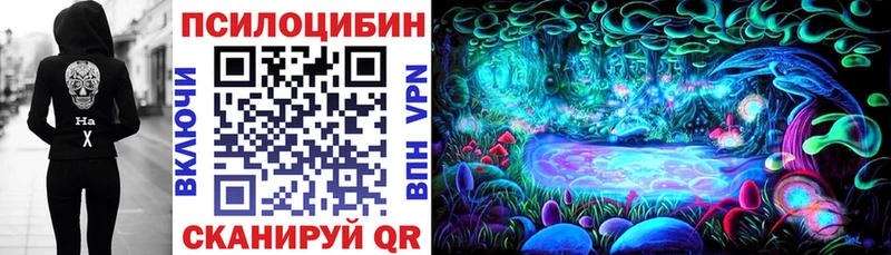 Галлюциногенные грибы мицелий  где купить наркоту  Аргун 