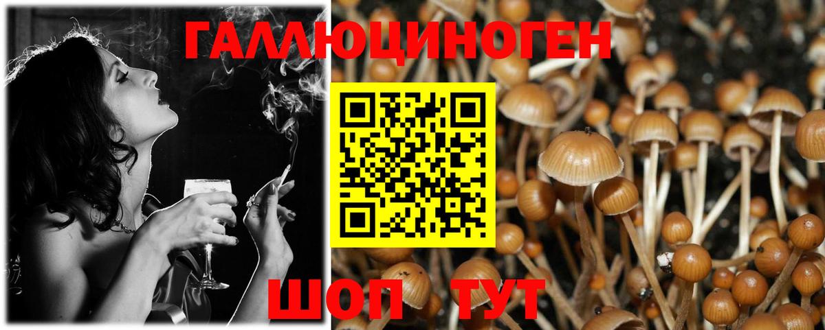 Галлюциногенные грибы Psilocybe  Вход с VPN  Аргун 