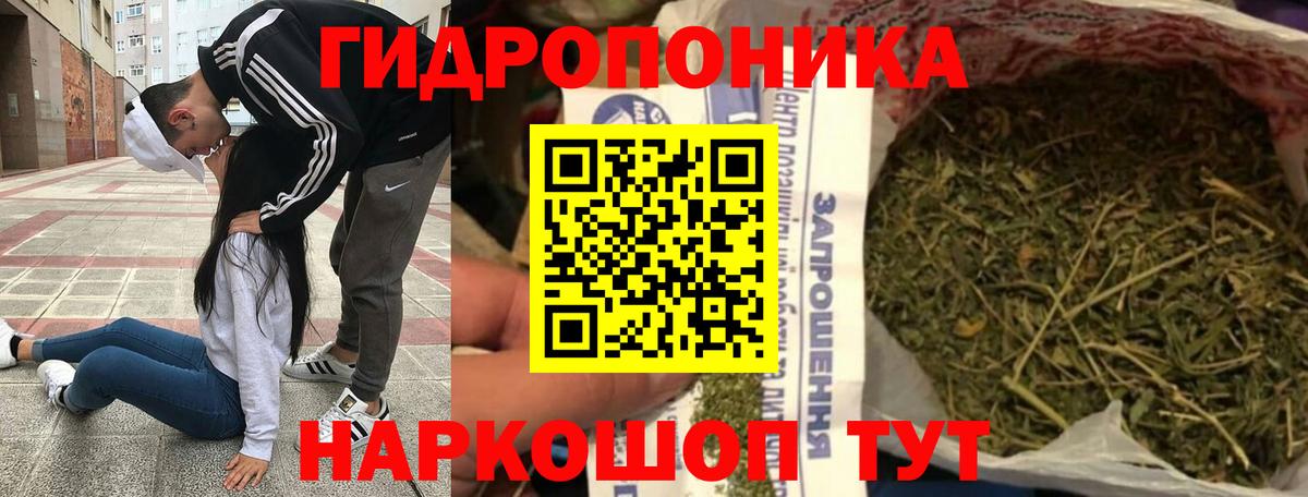 Бошки марихуана Bruce Banner Аргун