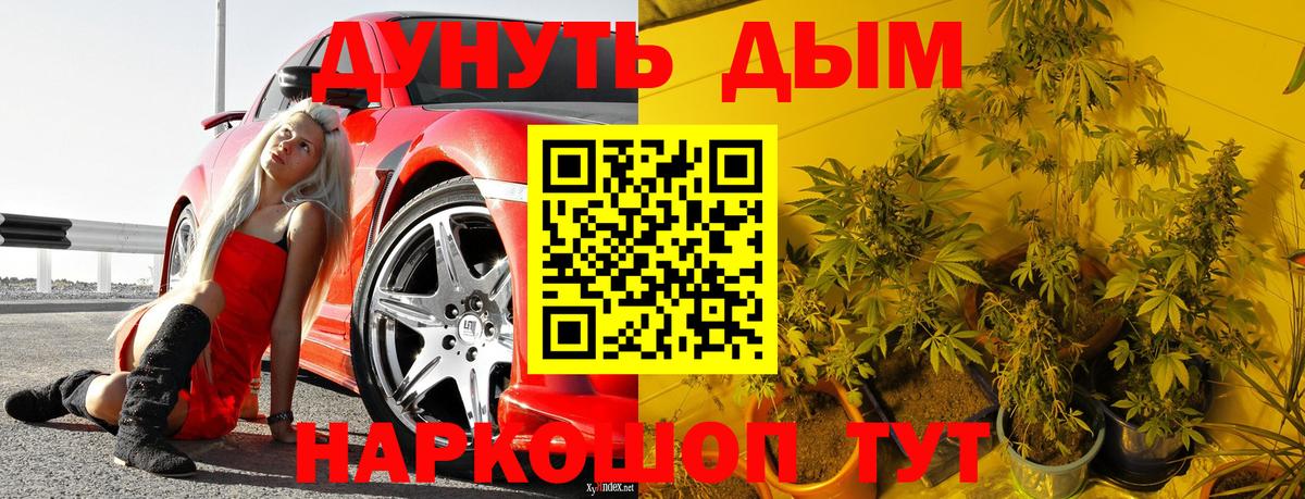 Аргун  Марихуана гибрид  Каннабис ГИДРОПОН  Вход с VPN  Бошки Шишки THC 21% 